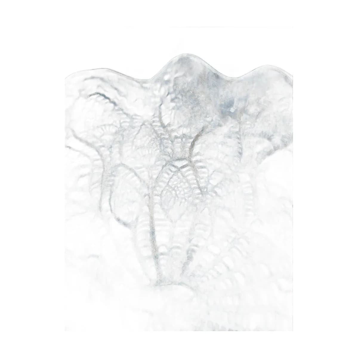 Kantschaal — Navy Lace — foto 6