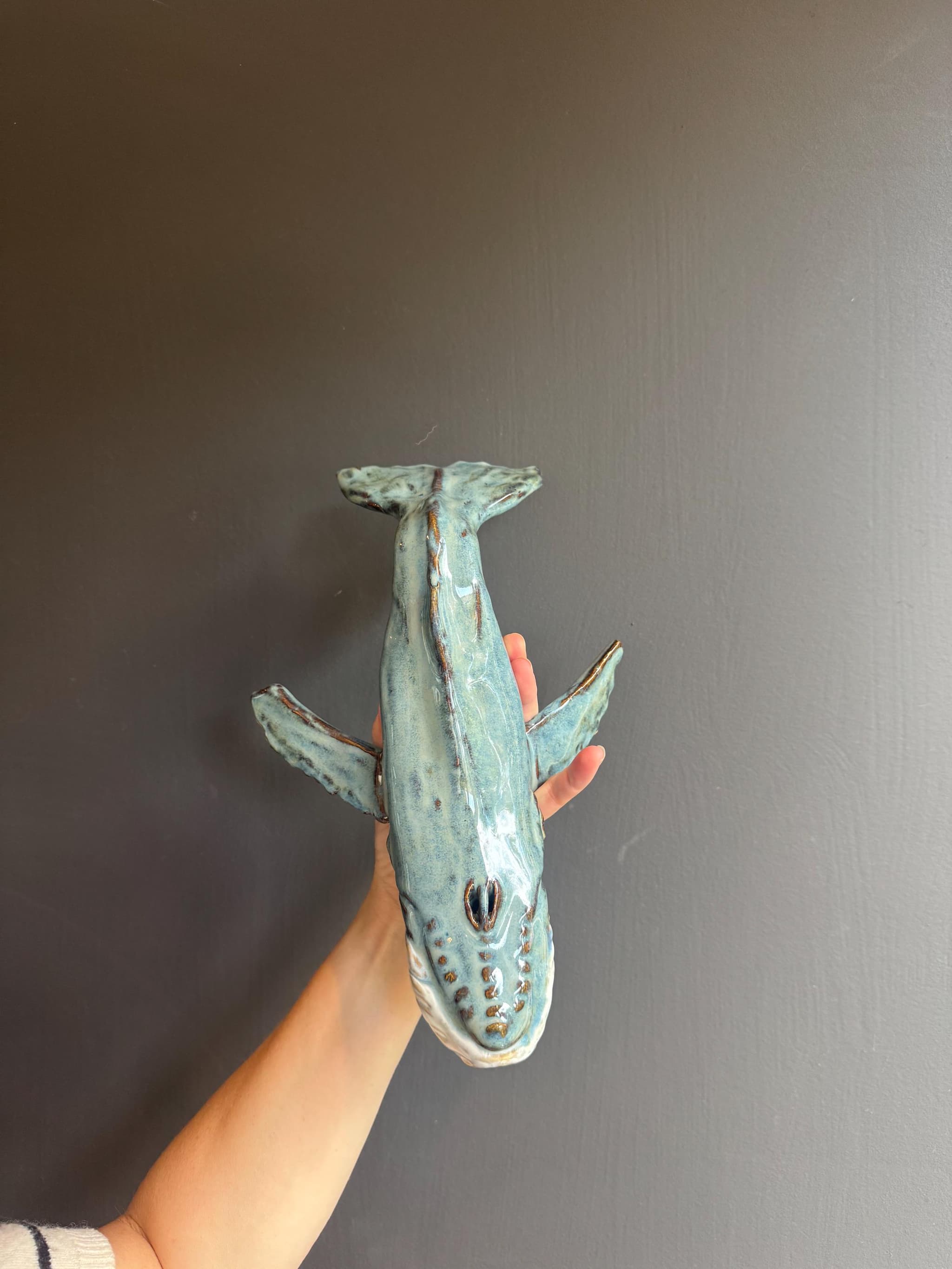 Bultrug — Coastal Blue, foto 3