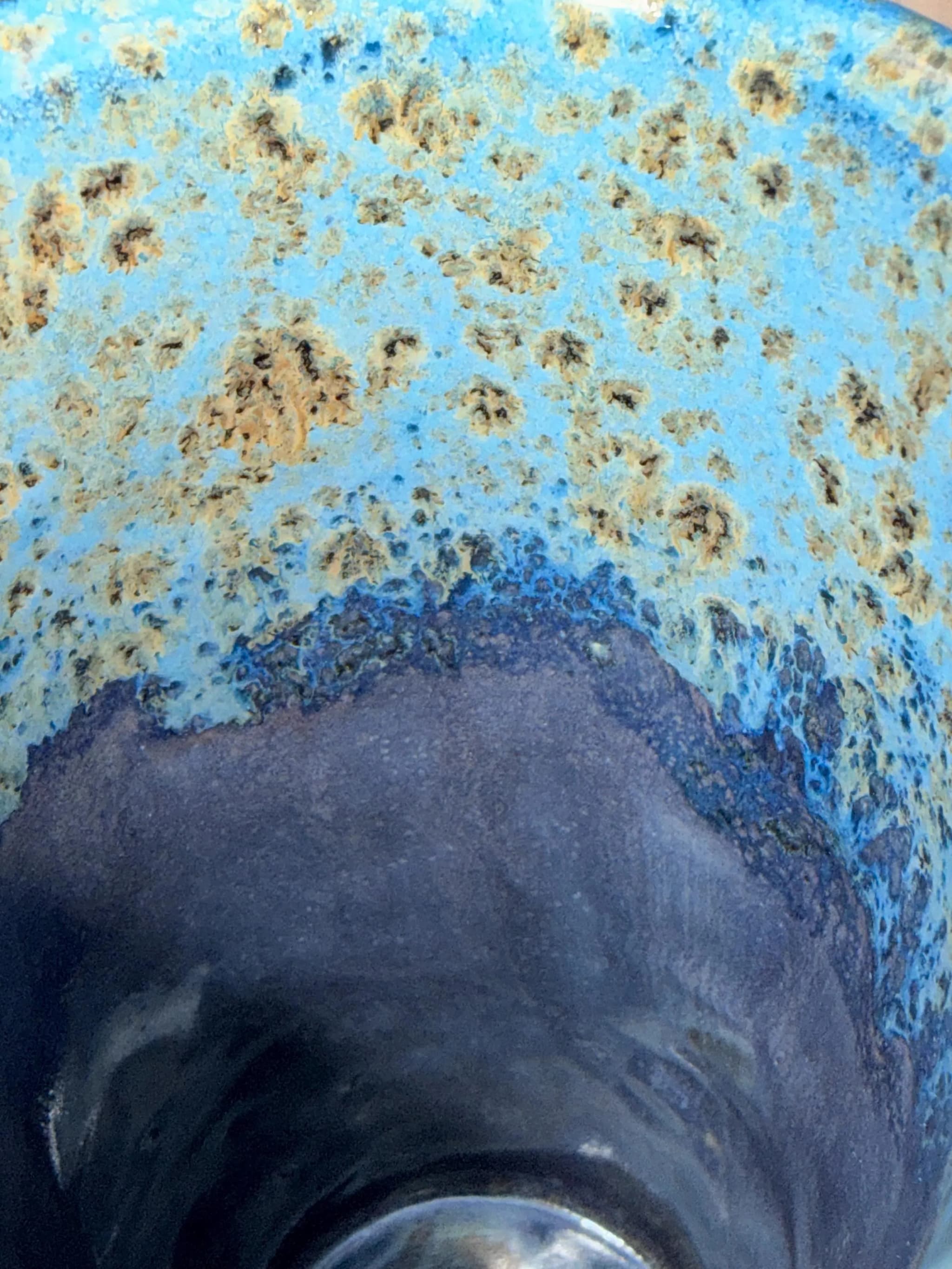 Tulpenvaas — Blue Face, foto 12