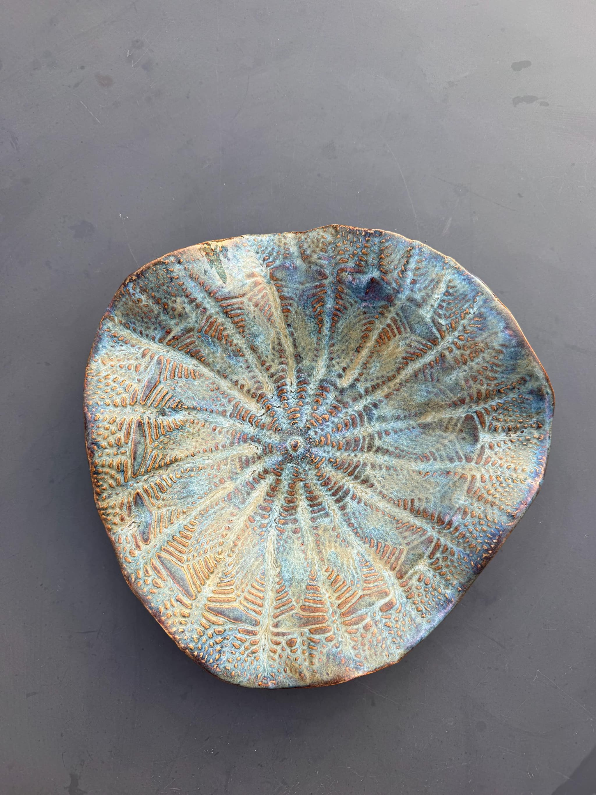 Schaal — Sea Urchin Copper — photo 5