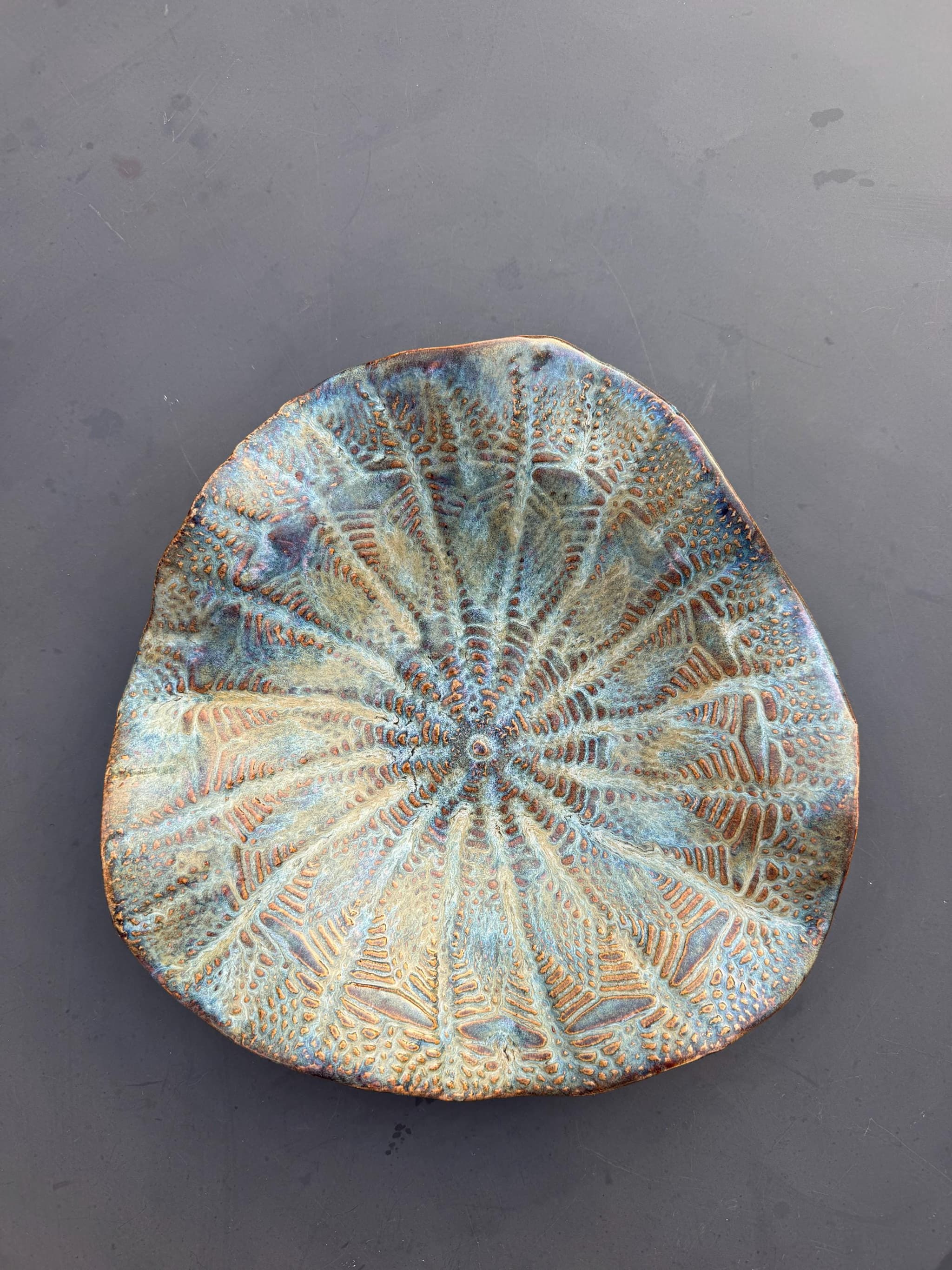Schaal — Sea Urchin Copper — photo 3